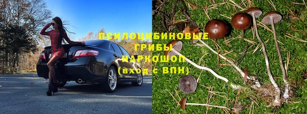 стафф Алзамай