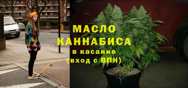 дмт Алексин