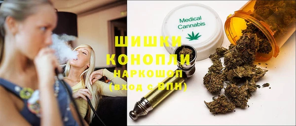 ГАЛЛЮЦИНОГЕННЫЕ ГРИБЫ Абаза